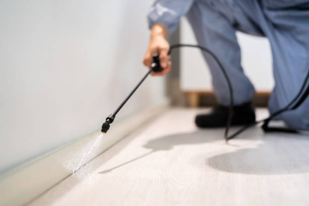 Professional exterminator conducting IPM assessment in Crooks