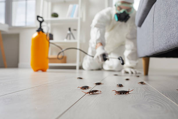 Commercial Rodent Management in Crooks